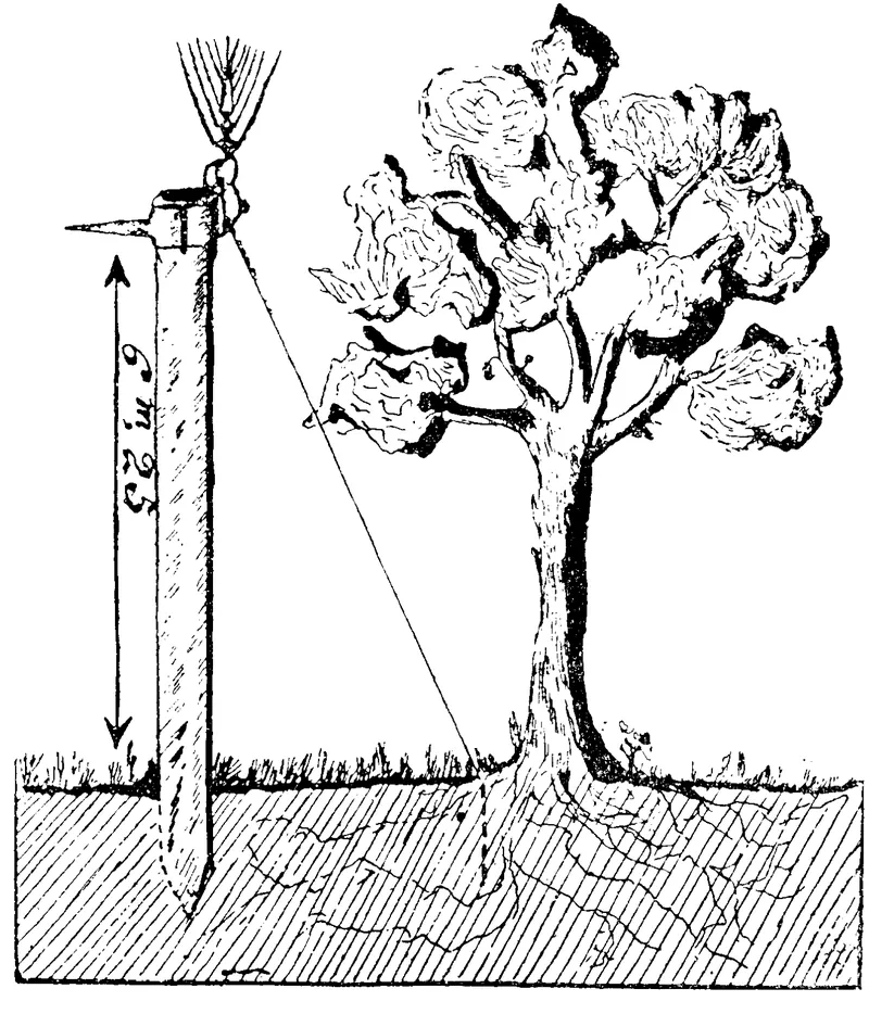 Drawing from Christofleau's 1927 booklet of a tall post topped by a fan of wires and a pointed rod, marked 6 m 25, with a thin wire running down to the roots of a single leafy tree